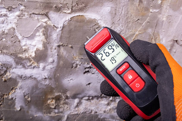 Best Mold Testing  in Pompton Lakes, NJ