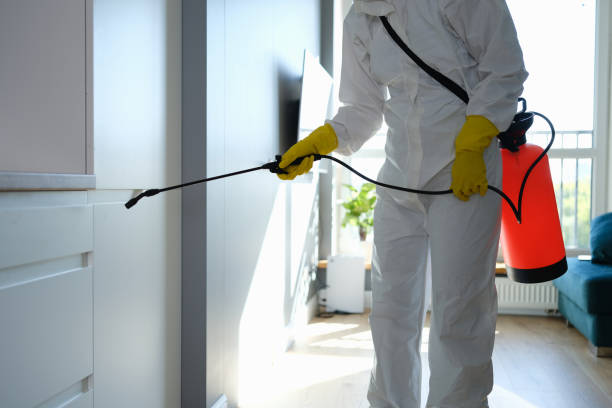 Best Mold Removal Near Me  in Pompton Lakes, NJ