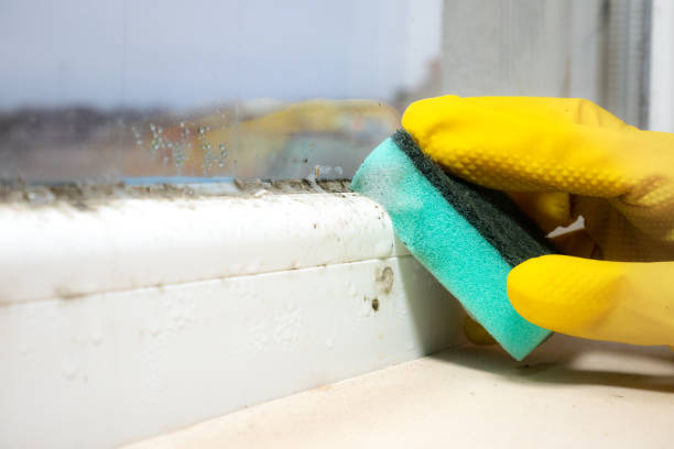 Best Crawl Space Mold Removal  in Pompton Lakes, NJ